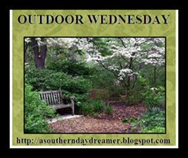 Outdoor-Wednesday-logo_thumb4_thumb1[1]