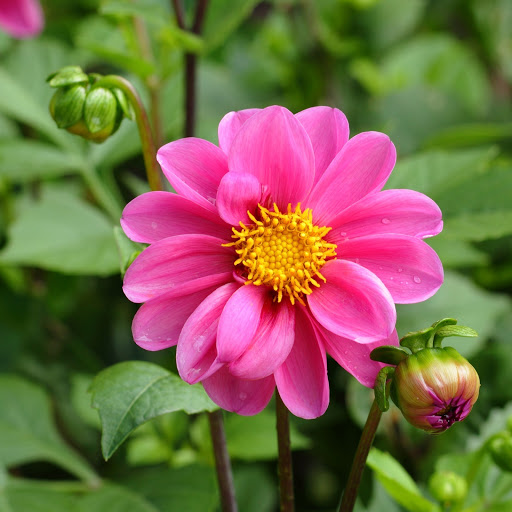 Hd-162474-ascw162474