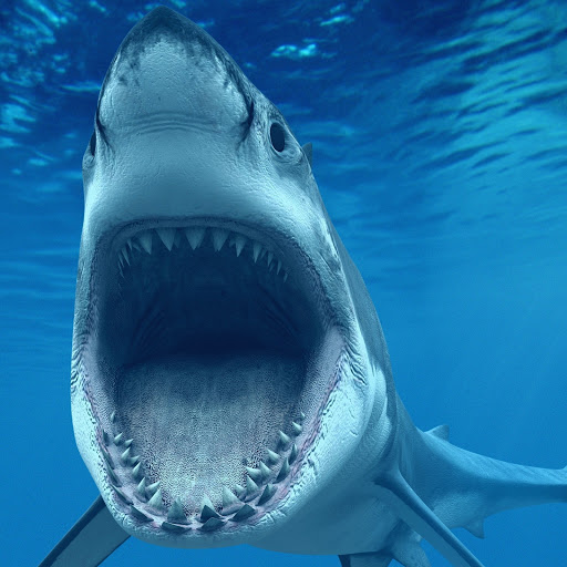 Hd-160966-ascw160966