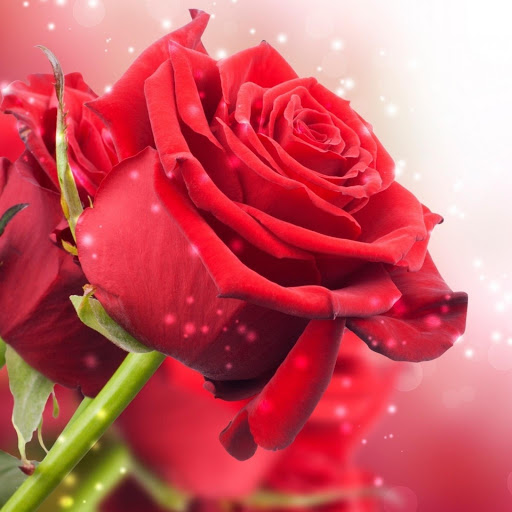 Hd-176165-ascw176165