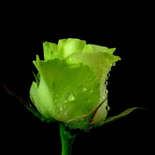 Hd-177222-ascw177222