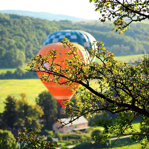 Hd-185068-ascw185068