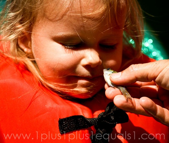 [IMG_177810.jpg]