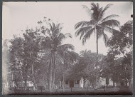 Woonhuis en gebouwtjes onder bomen, vermoedelijk op het terrein van een ziekenhuis in Nederlands-Indië