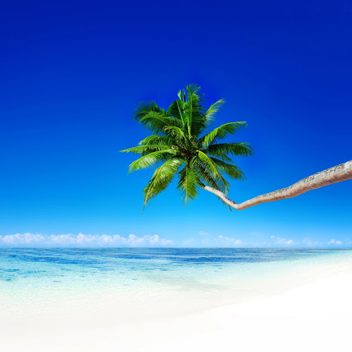 Hd-160034-ascw160034