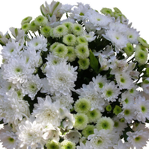 Hd-153344-ascw153344