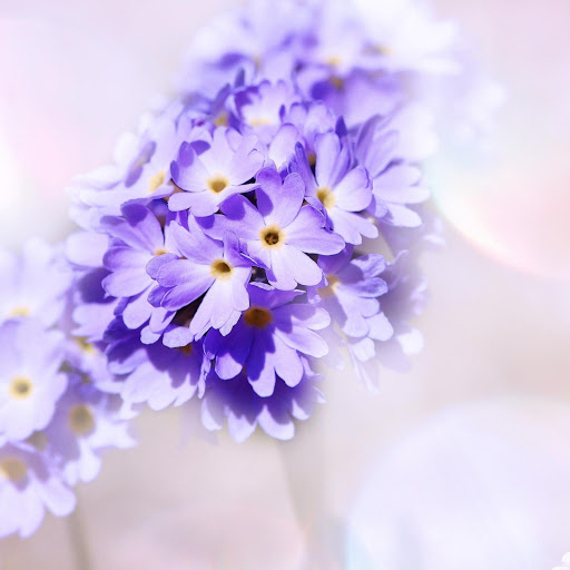 Hd-183775-ascw183775