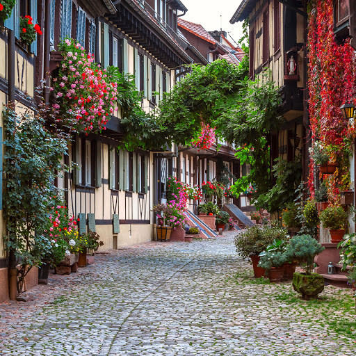 Hd-190860-ascw190860