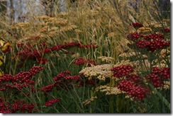 Grasses with grace (gold)