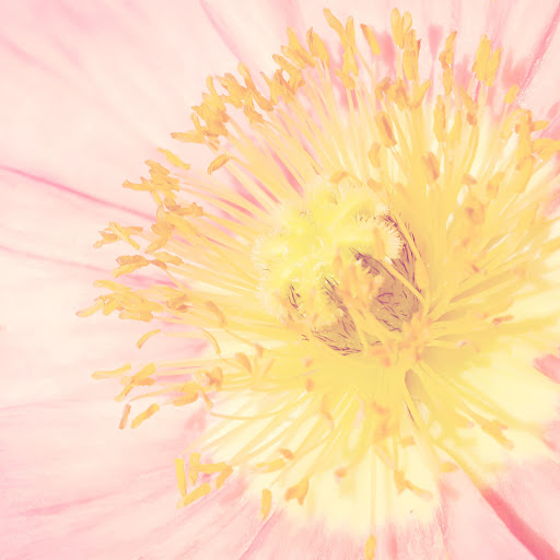 Hd-136334-ascw136334