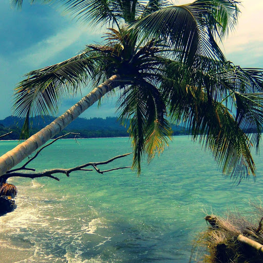 Hd-155187-ascw155187