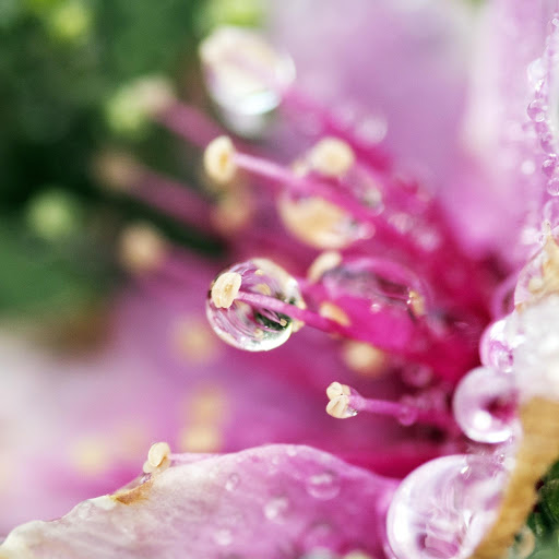 Hd-157258-ascw157258