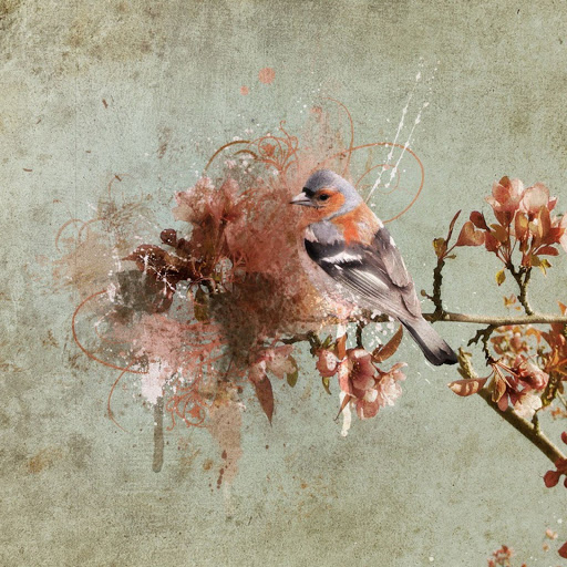 Hd-139827-ascw139827