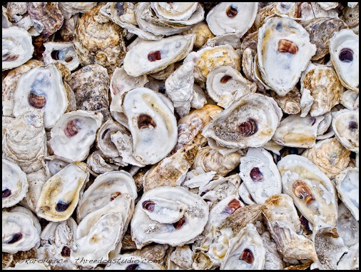 oyster-shell-mulch