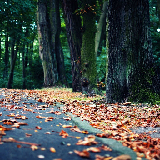 Hd-165533-ascw165533