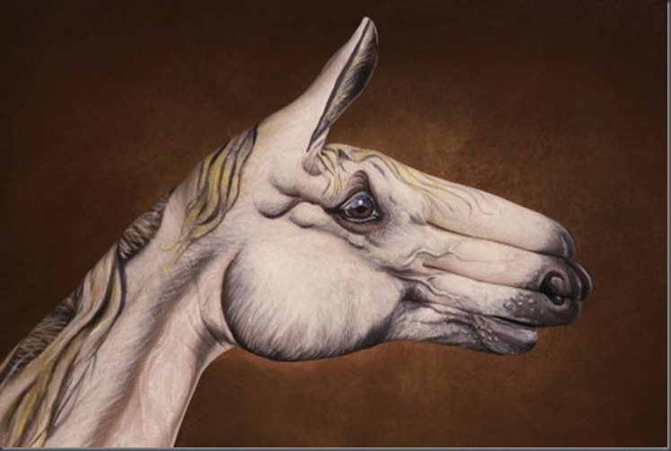 Horse-White-on-brown1-507x340