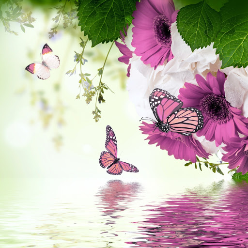 Hd-173718-ascw173718