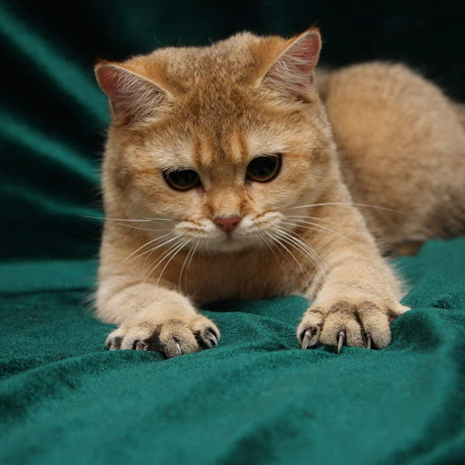 Hd-185143-ascw185143