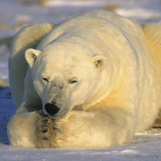 Hd-147165-ascw147165