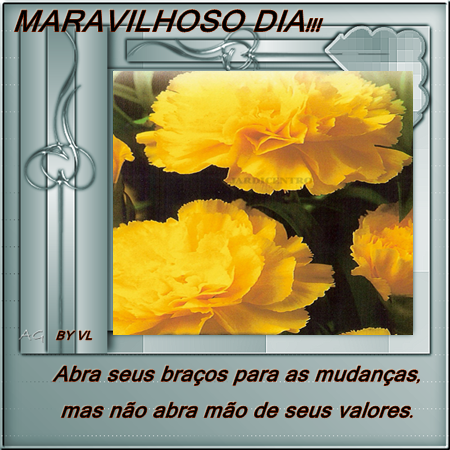 re%252520mold%252520verdinha.png