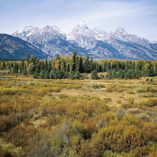 Hd-132109-ascw132109