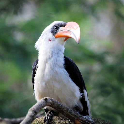 Hd-178282-ascw178282