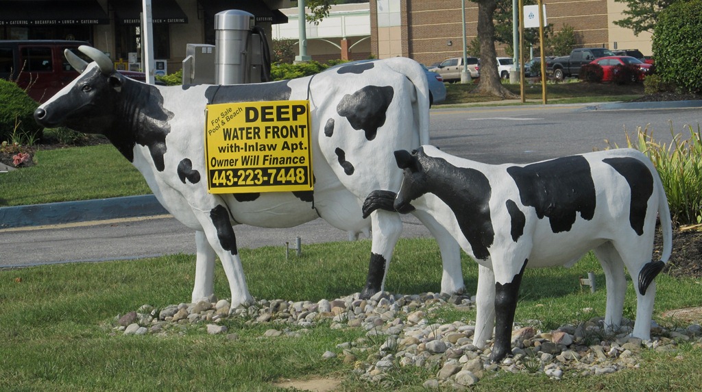 [cow-property-sign-12.jpg]