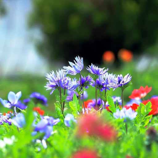 Hd-150401-ascw150401