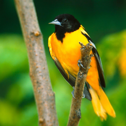 Hd-178730-ascw178730