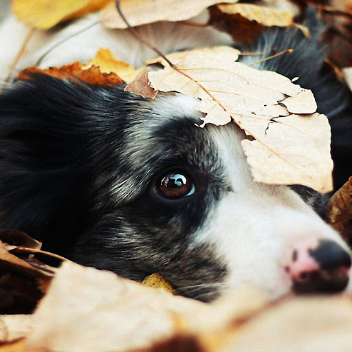 Hd-160430-ascw160430