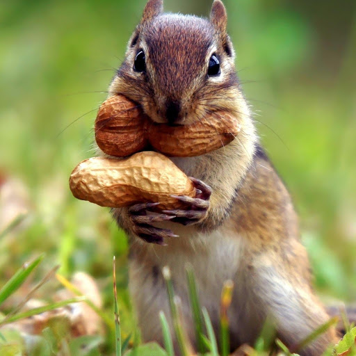 Hd-185678-ascw185678