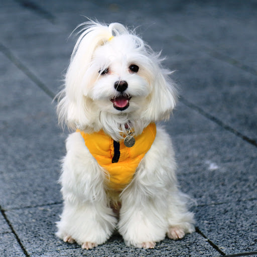 Hd-150385-ascw150385