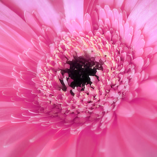 Hd-137710-ascw137710