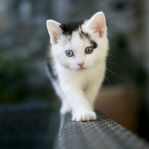 Hd-182406-ascw182406