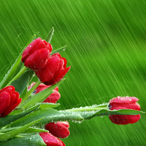 Hd-151284-ascw151284