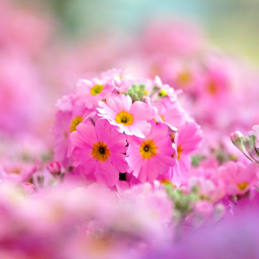 Hd-142671-ascw142671