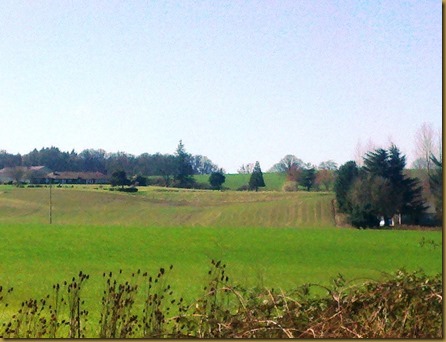 willamette valley green fields