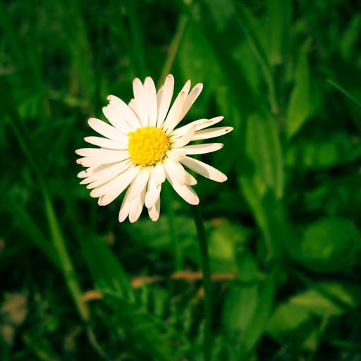 Hd-177230-ascw177230