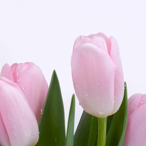 Hd-153942-ascw153942