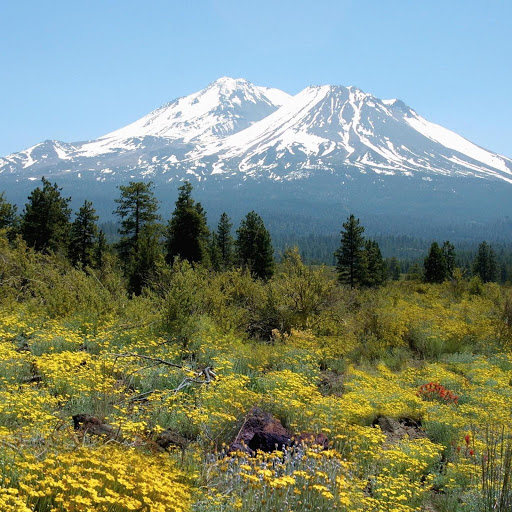 Hd-133743-ascw133743