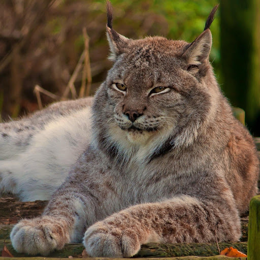 Hd-180465-ascw180465