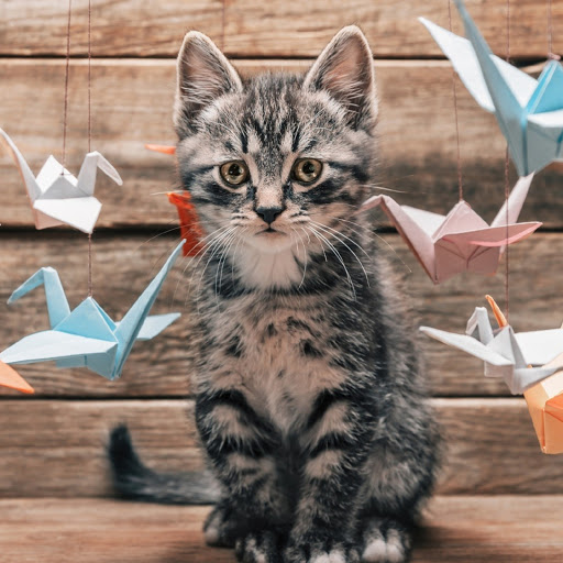 Hd-181541-ascw181541