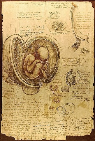 [408pxDa_Vinci_Studies_of_Embryos_Luc%255B1%255D.jpg]