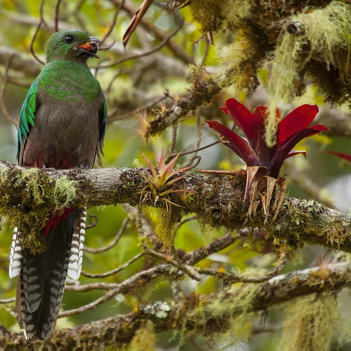 Hd-181121-ascw181121