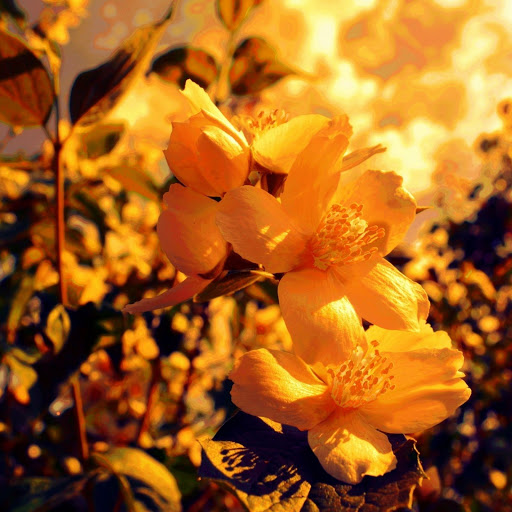 Hd-148965-ascw148965