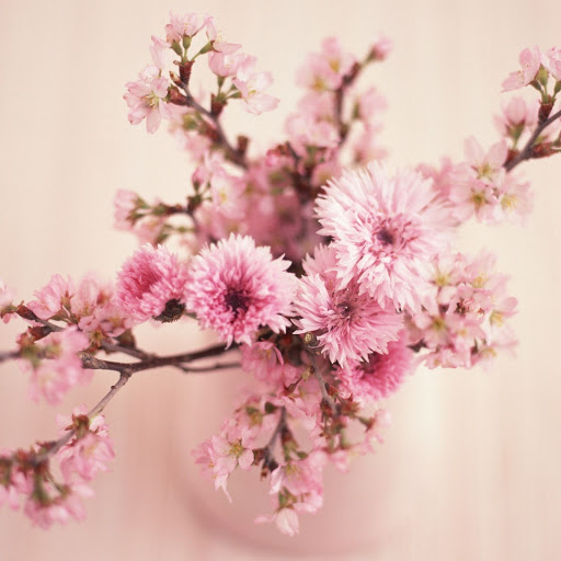 Hd-146873-ascw146873