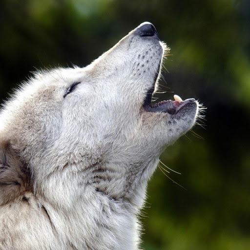 Hd-173382-ascw173382