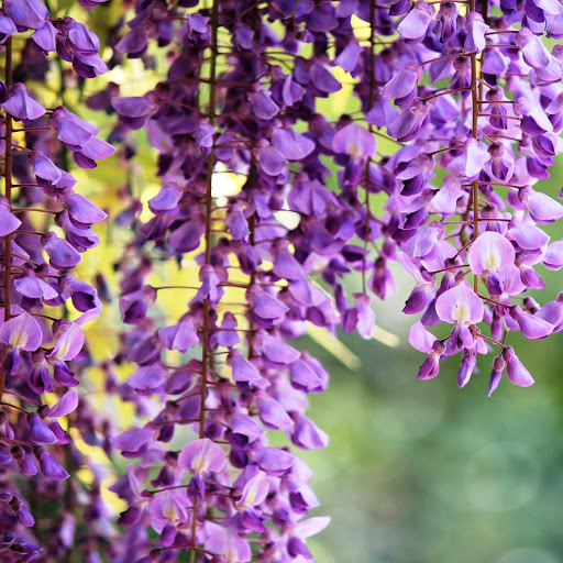 Hd-142717-ascw142717