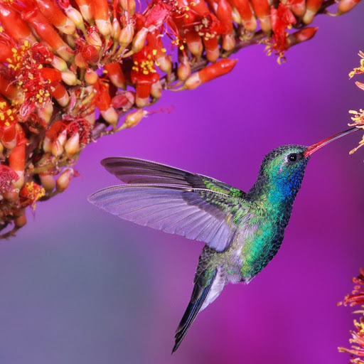 Hd-139539-ascw139539