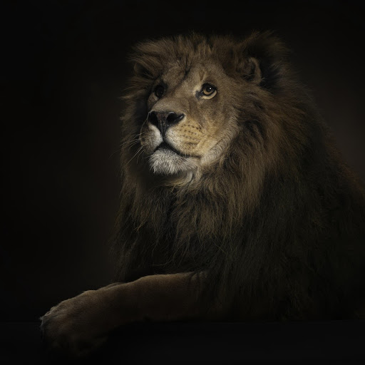 Hd-132611-ascw132611